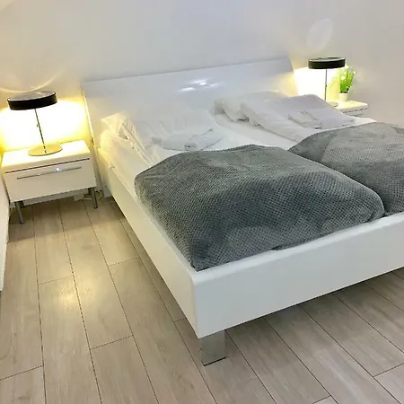 New Modern 2 Flat With Parking * מיינץ